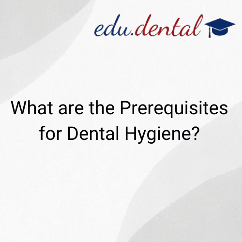 Featured image for “What Are the Prerequisites for Dental Hygiene?”