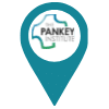 The Pankey Institute - CE odontológico perto de mim - CE Edu Dental